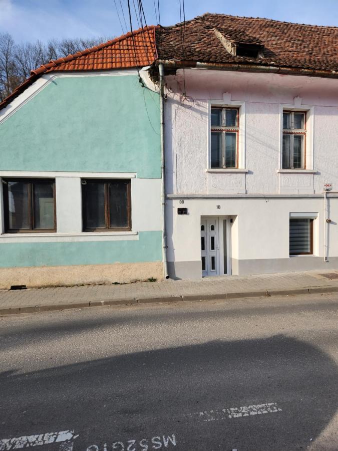 Apartament Dada Sighişoara Dış mekan fotoğraf