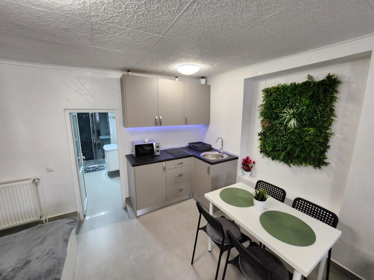 Apartament Dada Sighişoara Dış mekan fotoğraf